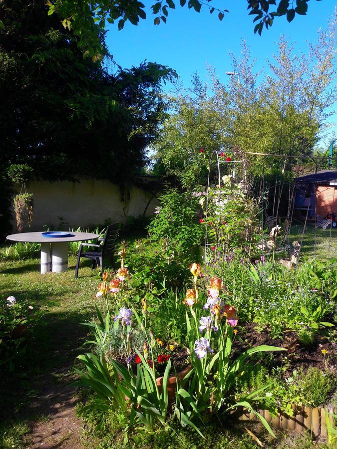 Le Vieux Vauvert Bed & Breakfast Rochecorbon Exterior photo